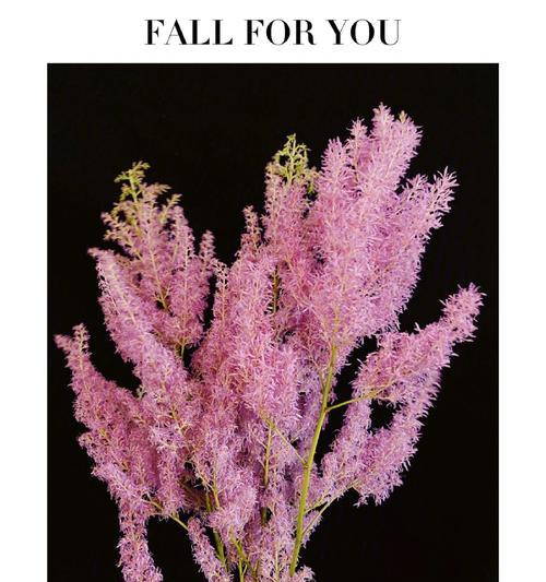 清竹象征着什么？它的花语有何寓意？