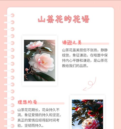 粉山茶花的花语是什么？粉山茶花的寓意是什么？
