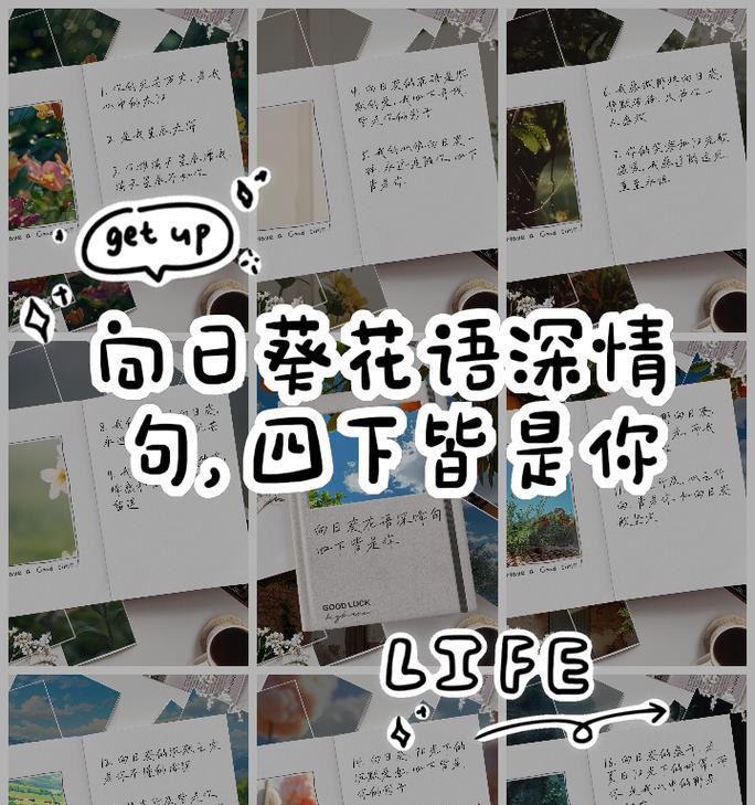 花语“所愿皆所得”是什么意思？“所愿皆所得”花语代表什么？