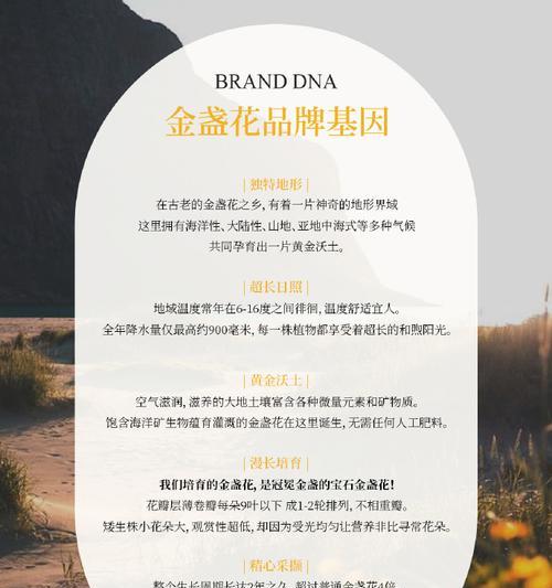 金盏花花语的准确意思是什么？它代表了什么？