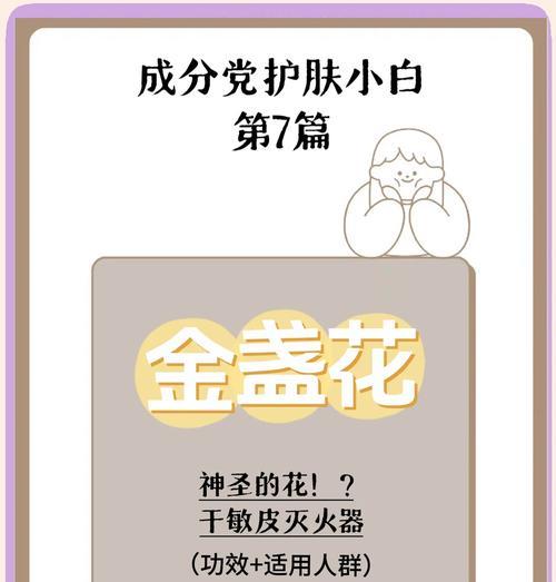 金盏花花语的准确意思是什么？它代表了什么？