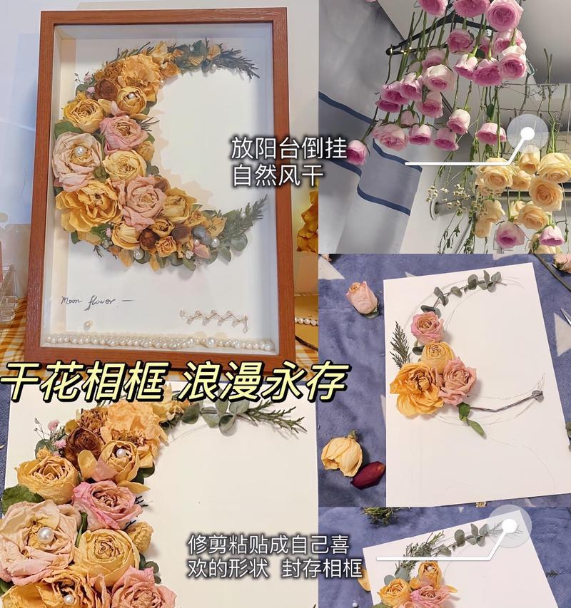 干花的种类花语是什么？它们各自传达了哪些信息？
