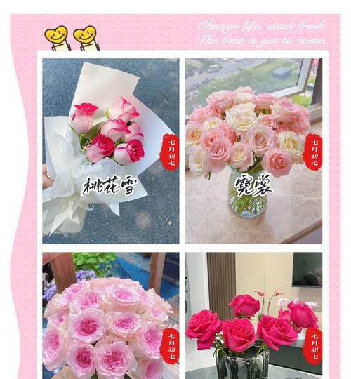 哪种花带有道歉和解的花语？道歉和解的花语是什么？