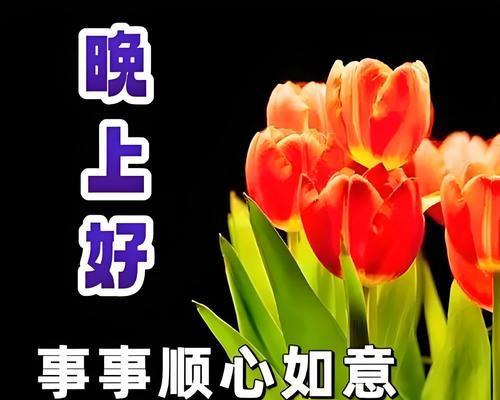 夜晚的花语由哪种花表达？