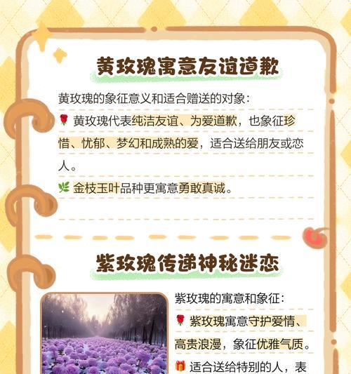 各颜色玫瑰的花语是什么意思啊？不同颜色代表了什么？