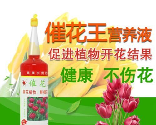 牡丹花生长需要哪种肥料？