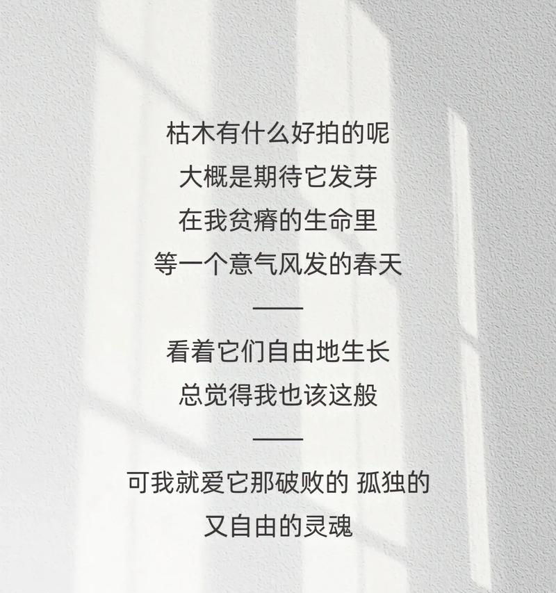 枯树的花语有何特别之处？