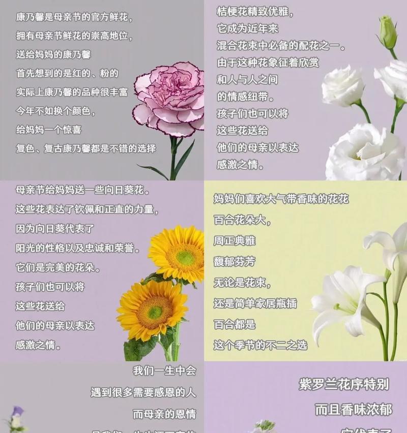 送礼时常用的花有哪些特别的花语？