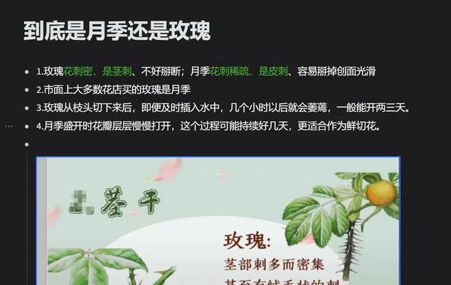 不带栀子花的玫瑰与普通玫瑰有何不同？它们的养护方法有何区别？
