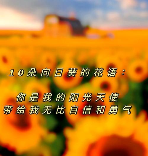讲台送的花语有何特别含义？它在教育场合代表什么？