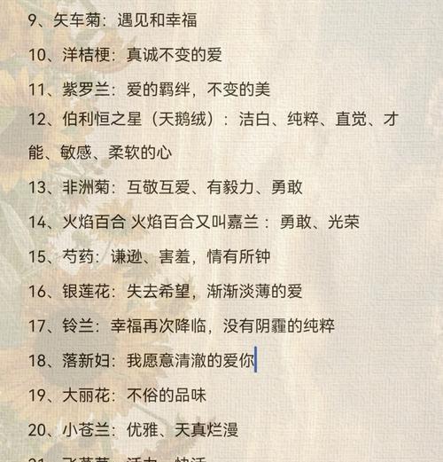 红白玫瑰组合的花语有何含义？