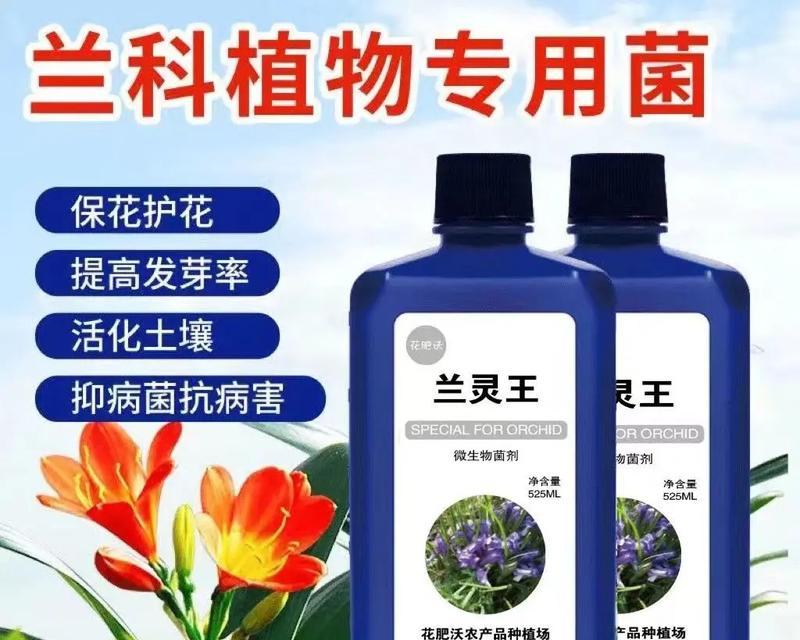 君子兰叶子发黄怎么办？专用营养液有哪些推荐？