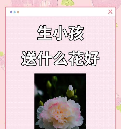 花语在哪些场合使用？如何恰当地使用花语？