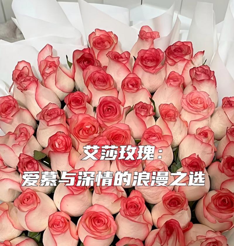 艾莎玫瑰与其他玫瑰搭配的花语是什么？如何选择搭配？