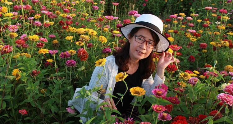 大圣先生的花语有何特殊含义？