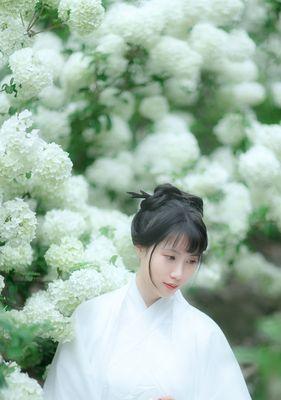 大圣先生的花语有何特殊含义？