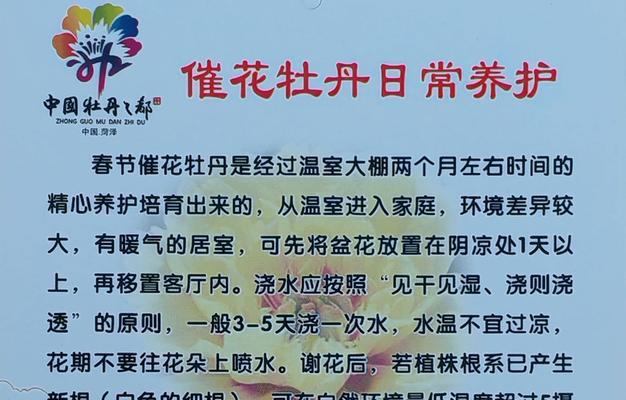 牡丹花发芽时浇水需要注意什么？怎样正确浇水？