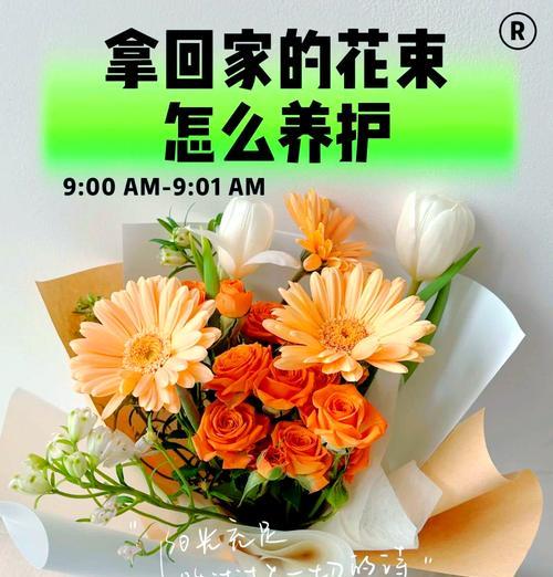 玫瑰花保鲜的最佳温度是多少？