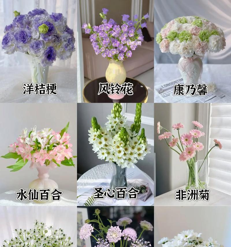 鲜花颜色与花语有何关联？每种颜色代表什么？