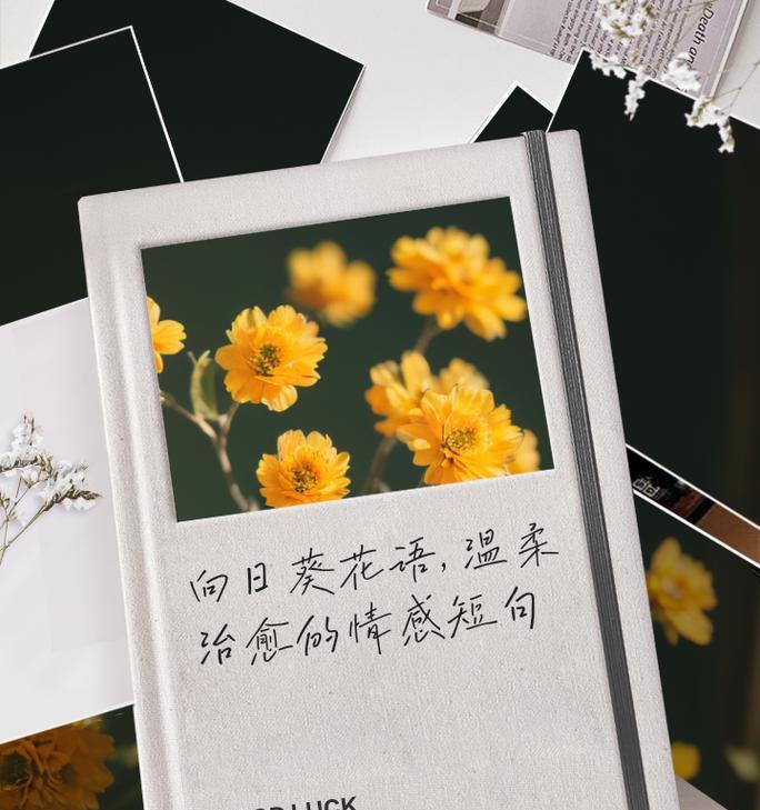 无法相认的爱花语是什么？它代表了哪种情感状态？