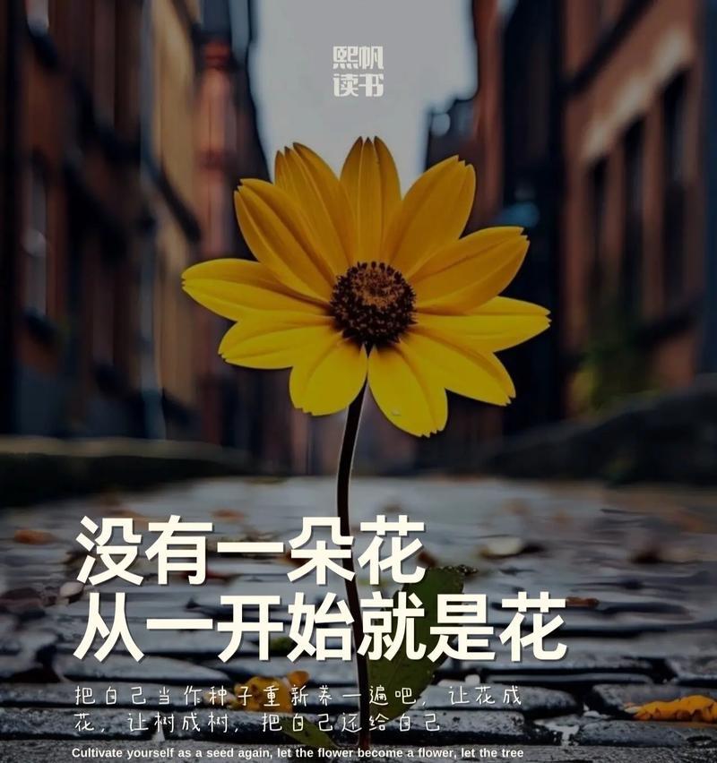 哪种花象征着未开始的爱恋？