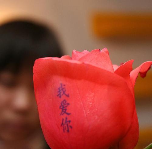 如何用花语表达对老公的爱意？