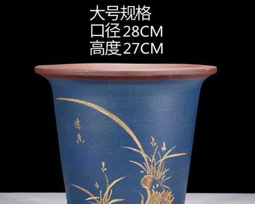 君子兰蓝色盆栽的养护技巧有哪些？怎样保持色彩鲜艳？