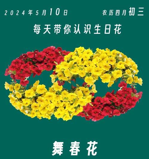 阴历8月是什么花语呢？阴历8月的花语代表什么？