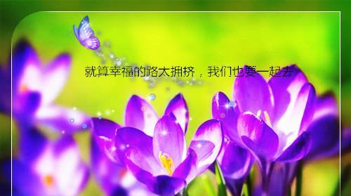 表达想要再见一面的花语有哪些？