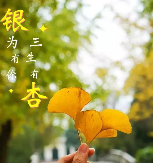 洒脱的简单花语含义是什么？洒脱的简单花语代表什么？