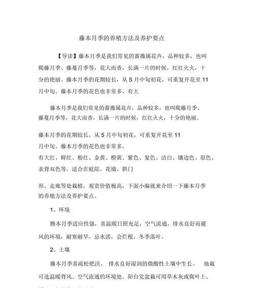 海上庭园中玫瑰花的养护要点是什么？