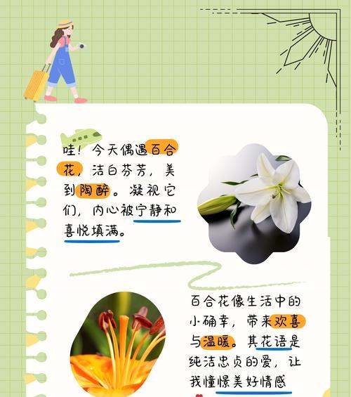 百合花的非传统花语有哪些？