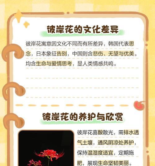 深沉的花语有哪些？深沉的花语是什么意思？