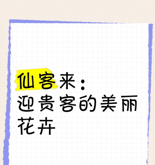 仙客来的花语是什么？它代表了什么？