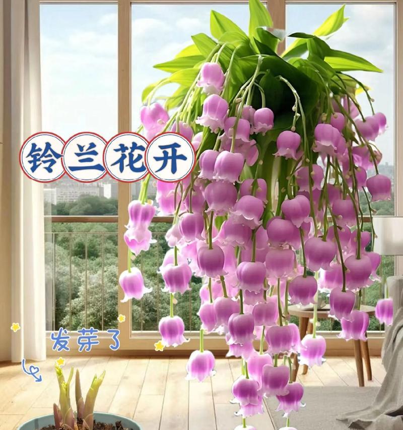 铃兰苦艾的花语代表了什么？
