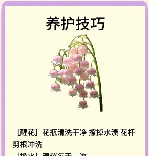 铃兰苦艾的花语代表了什么？