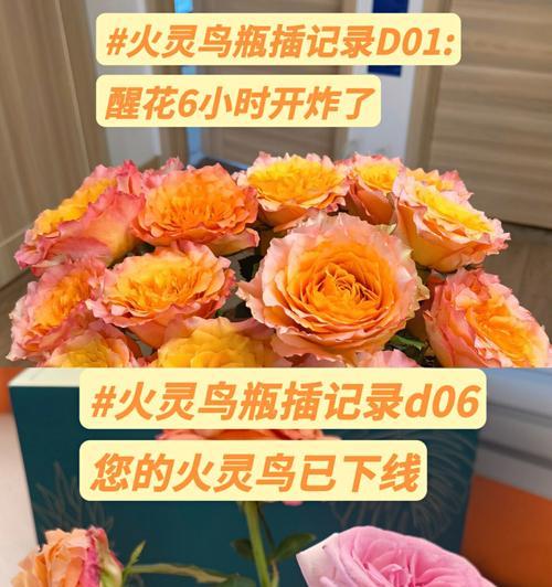 水瓶中玫瑰花的养殖方法是什么？