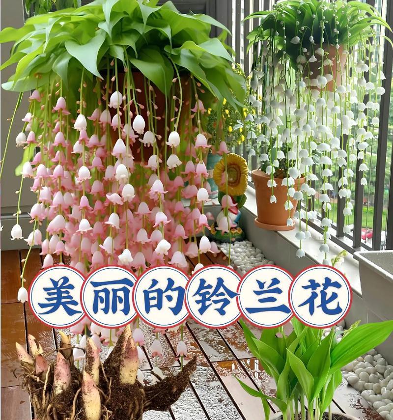 金花语和寓意一样吗是什么？树的花语有什么含义和寓意？