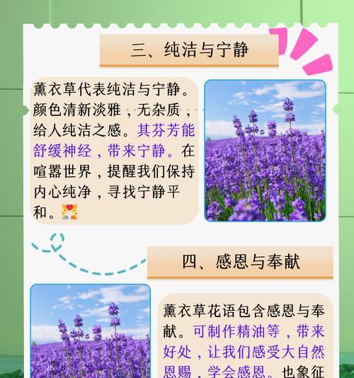 哪种花的花语代表对未知的感情？