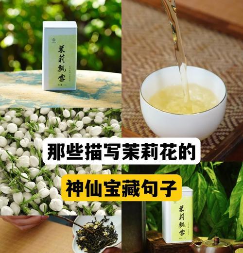茉莉花空中花语有何寓意？它象征着什么？