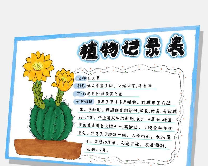 仙人掌叶片买回来怎么种？有哪些步骤和注意事项？