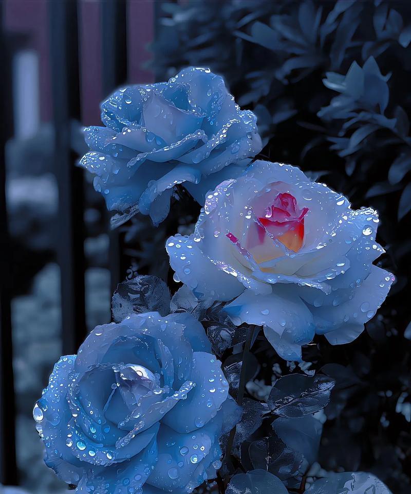 哪种花的花语代表后悔？