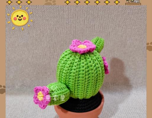 如何正确安装仙人球花盆？