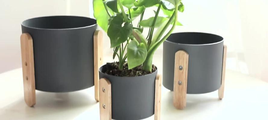 如何正确安装仙人球花盆？