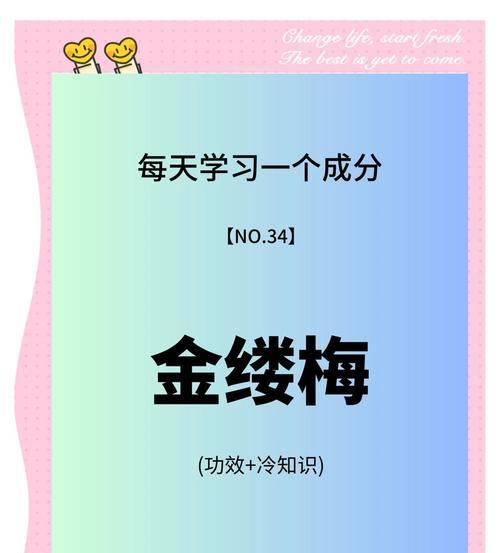金枝梅的花语有何含义？它象征着什么？