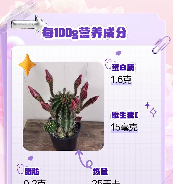 新买的仙人掌叶子需要特殊处理吗？