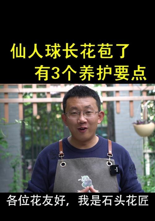 冬天开花仙人球带花苞怎么养护？有哪些注意事项？