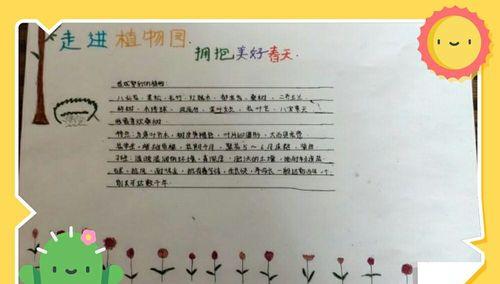 仙人球种植深度不一致的解决方法是什么？