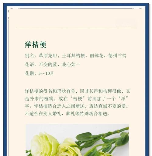哪种花象征永恒不变的爱？