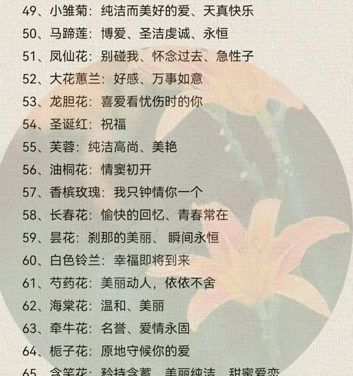 九十朵紫玫瑰花的花语有何特殊意义？